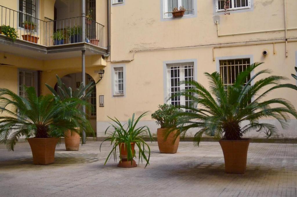 Apartament Attico Minerva Con Due Terrazze Rzym Zewnętrze zdjęcie
